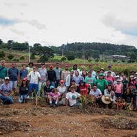 Agroforestry farmer in Brazil